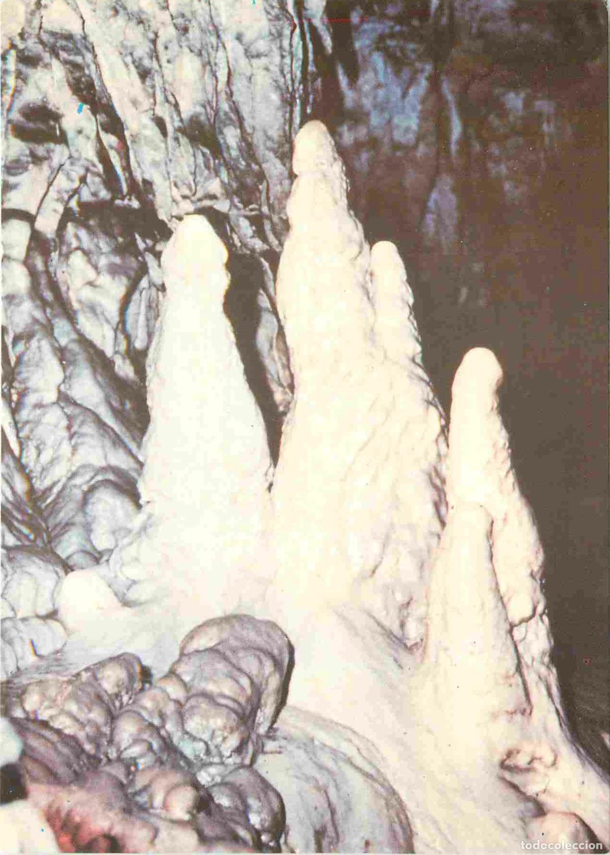 Postales: Royaume-Uni - Pays de Galles - Dan-yr-ogof - The largest showcave complex in western europe situated