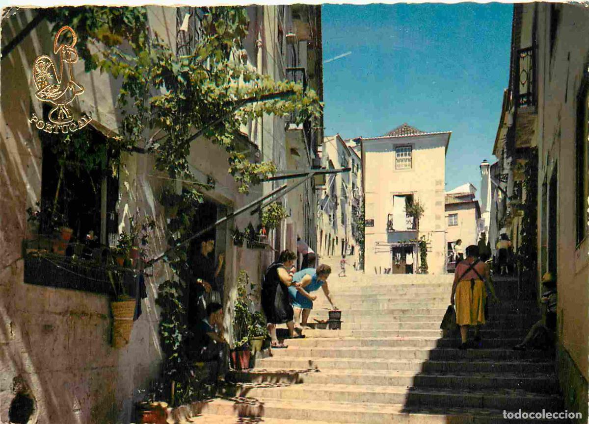 Postales: Portugal - Lisboa - Alfama - Lisbonne - Carte Dentel&eacute;e - CPM - Voir Scans Recto-Verso
