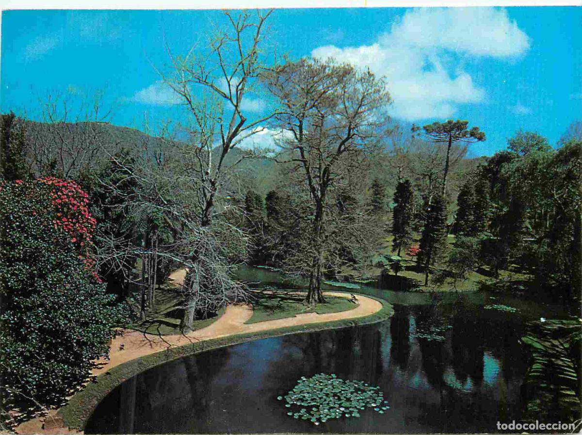 Postales: Portugal - Furnas - s miguel - un trecho do parque terra nostra - CPM - Voir Scans Recto-Verso