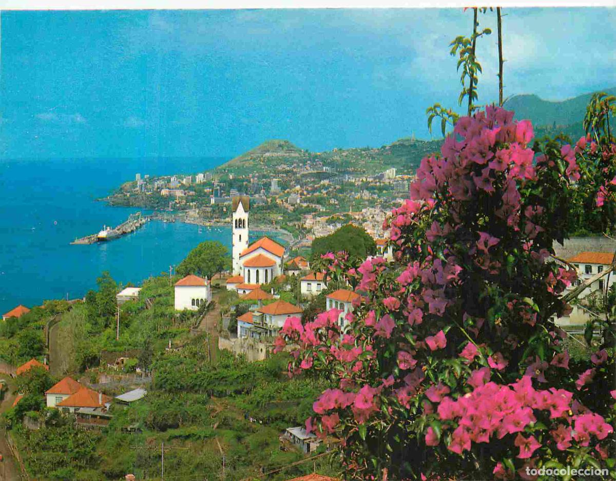 Postkarten: Portugal - Funchal - vista oeste - CPM - Voir Scans Recto-Verso