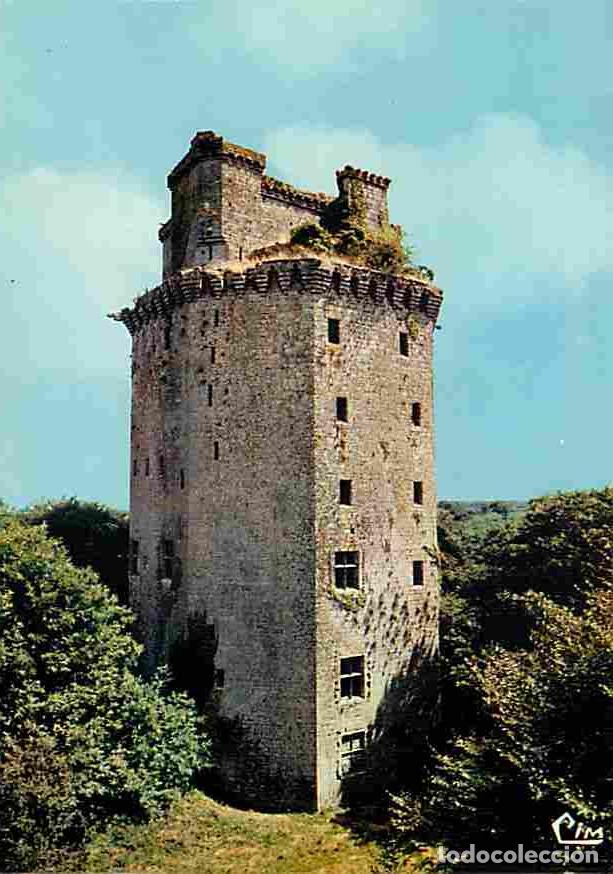 Postales: Francia - 56 - Elven - La Grande Tour - Ruines f&eacute;odales du 14e si&egrave;cle - Carte Neuve - CPM - Voir Sca