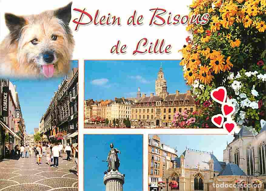 Postais: Francia - 59 - Lille - Multivues - Chiens - CPM - Voir Scans Recto-Verso