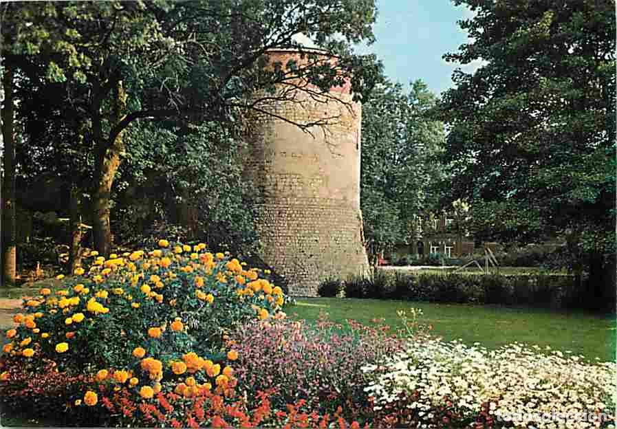Postales: Francia - 59 - Valenciennes - Tour de la Dondaine - Fleurs - CPM - Voir Scans Recto-Verso