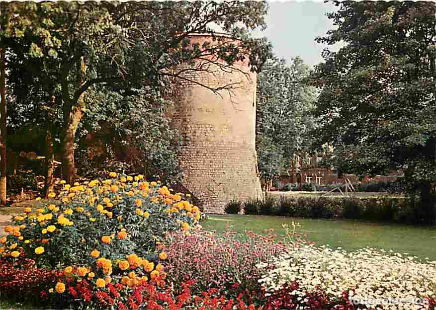 Postales: Francia - 59 - Valenciennes - La Tour de la Dondaine - Fleurs - Carte Neuve - CPM - Voir Scans Recto