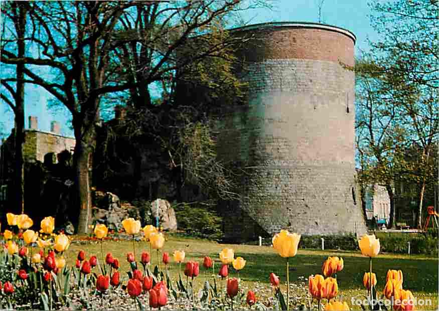 Postales: Francia - 59 - Valenciennes - La Tour de la Dodenne - Fleurs - CPM - Voir Scans Recto-Verso