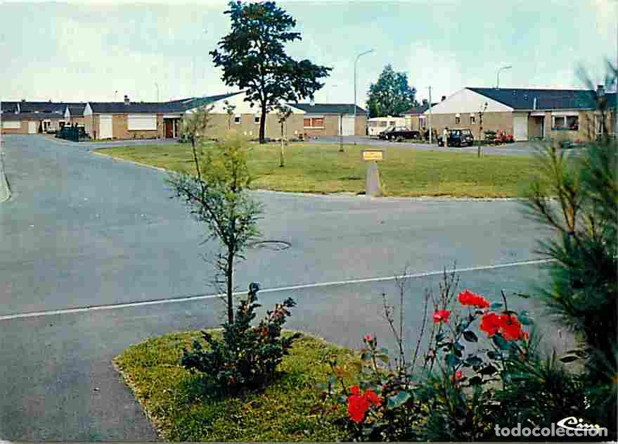 Postcards: Francia - 59 - Roncq - R&eacute;sidence des Chats Huants - Automobiles - Carte Neuve - CPM - Voir Scans Rec