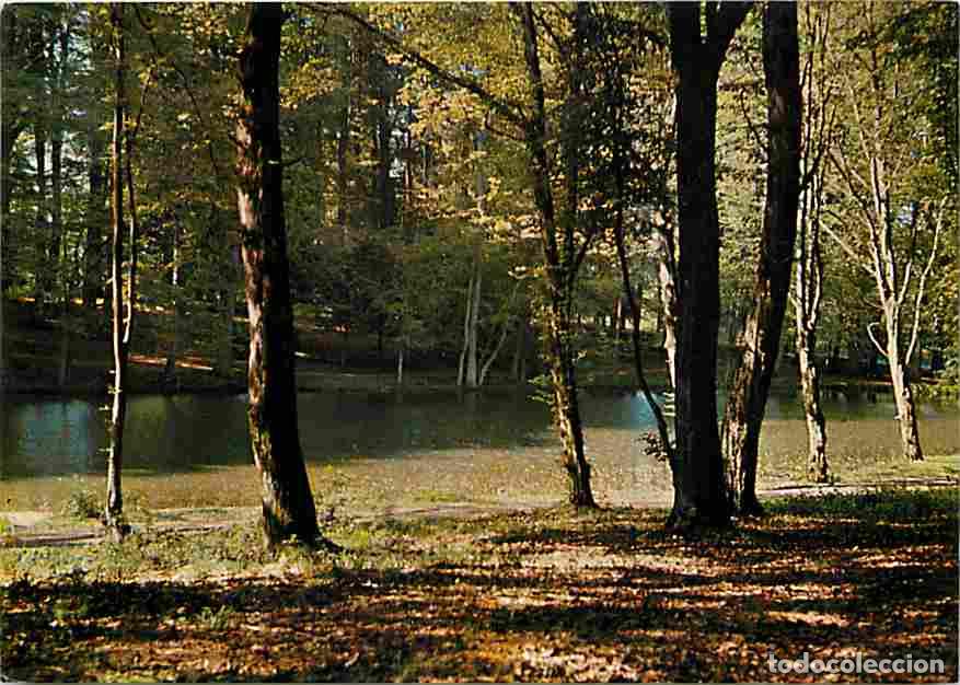 Postcards: Francia - 59 - Mormal - Foret de Mormal - Etang du Camp David - CPM - Voir Scans Recto-Verso