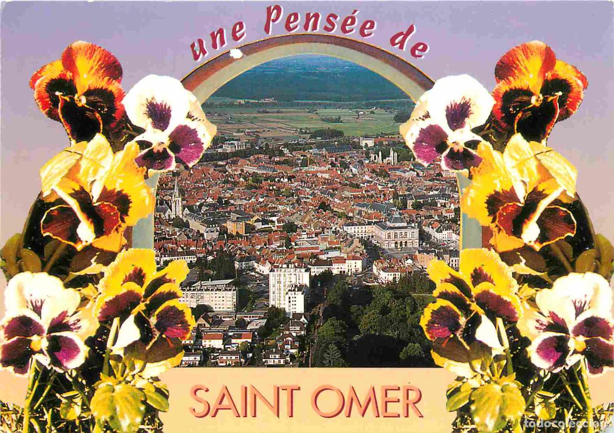 Cartes Postales: Francia - 62 - Saint Omer - Vue g&eacute;n&eacute;rale a&eacute;rienne - Fleurs - Pens&eacute;es - CPM - Voir Scans Recto-Verso