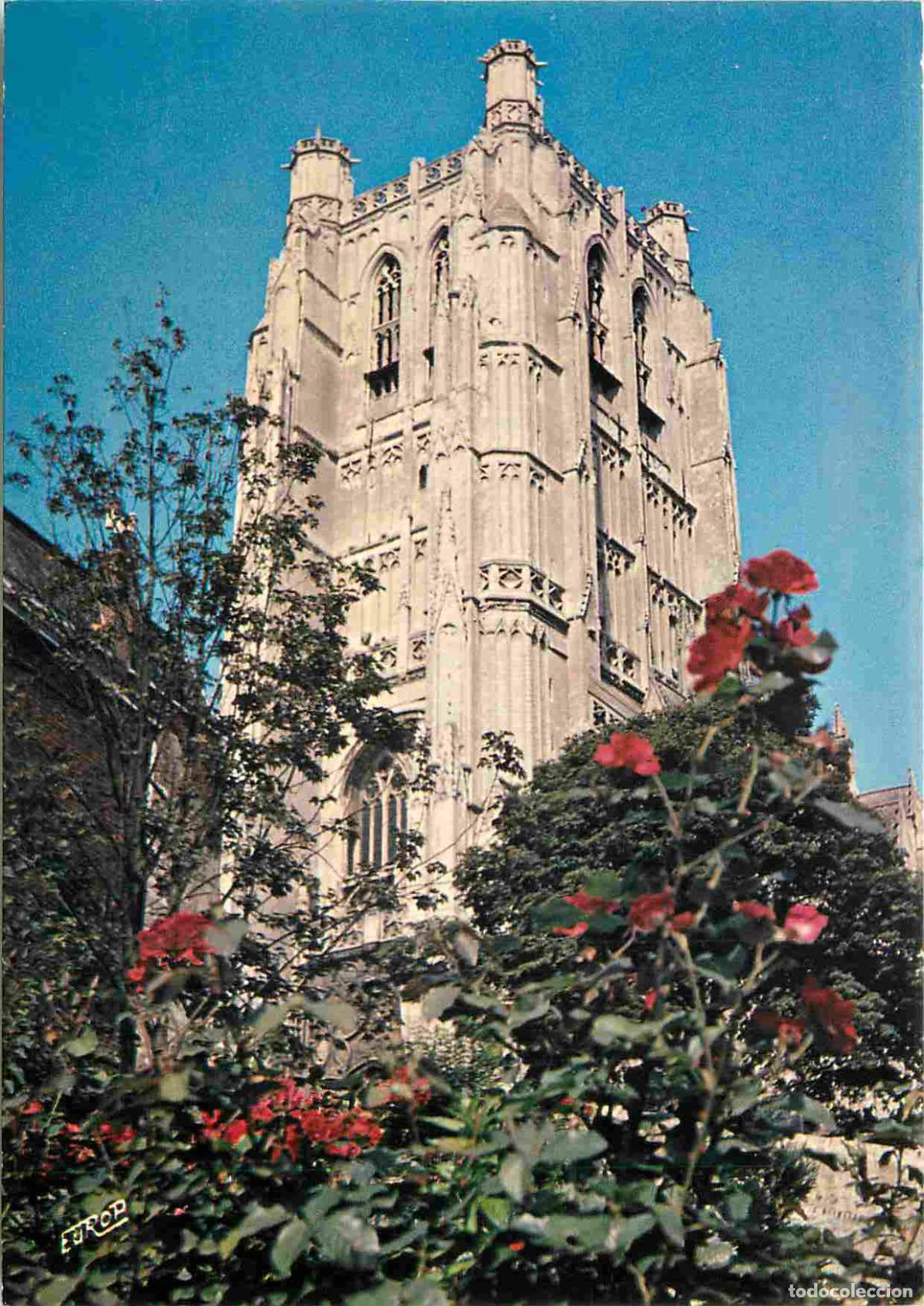 Cartes Postales: Francia - 62 - Saint Omer - La Cath&eacute;drale - CPM - Voir Scans Recto-Verso