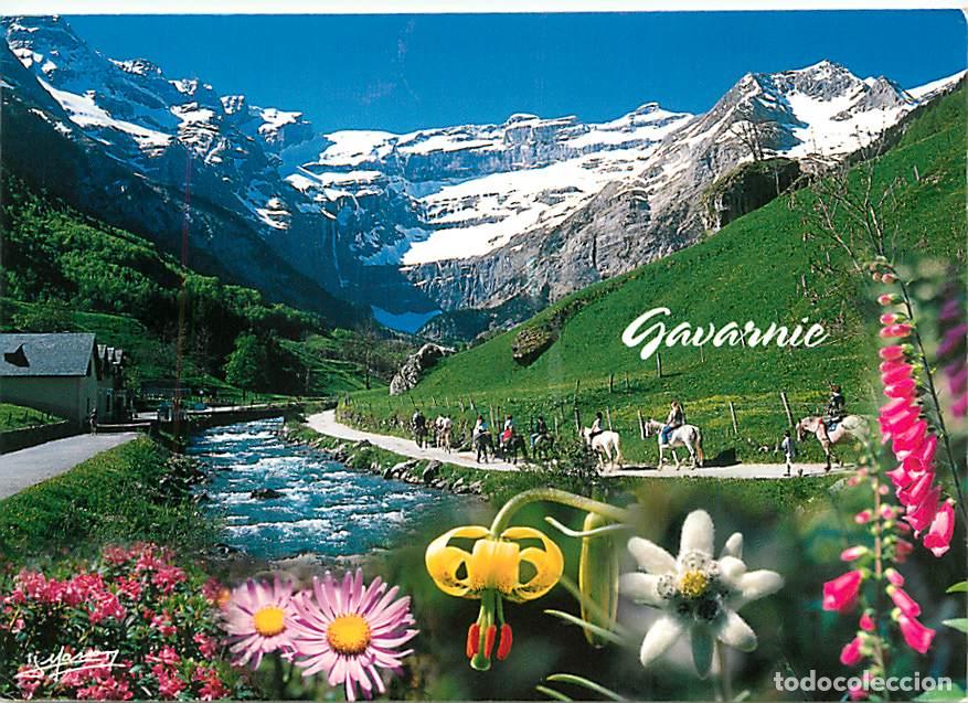 Postales: Francia - 65 - Gavarnie - Le Marbor&eacute; La Tour Le Casque - Fleurs - CPM - Voir Scans Recto-Verso