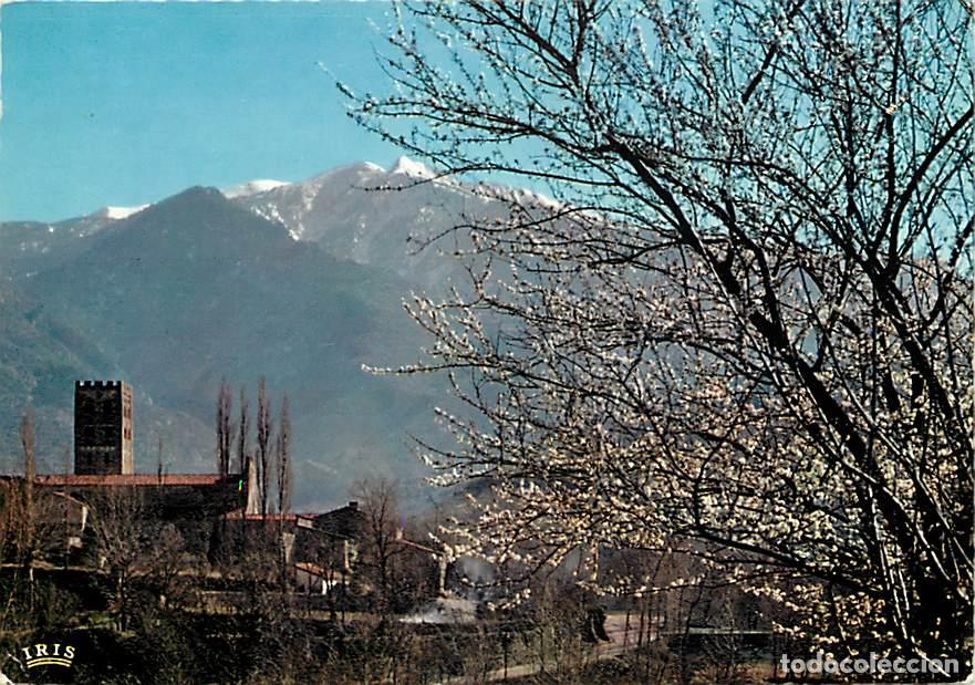 Postcards: Francia - 66 - Saint Michel de Cuxa - L'Abbaye et le Canigou - CPM - Voir Scans Recto-Verso