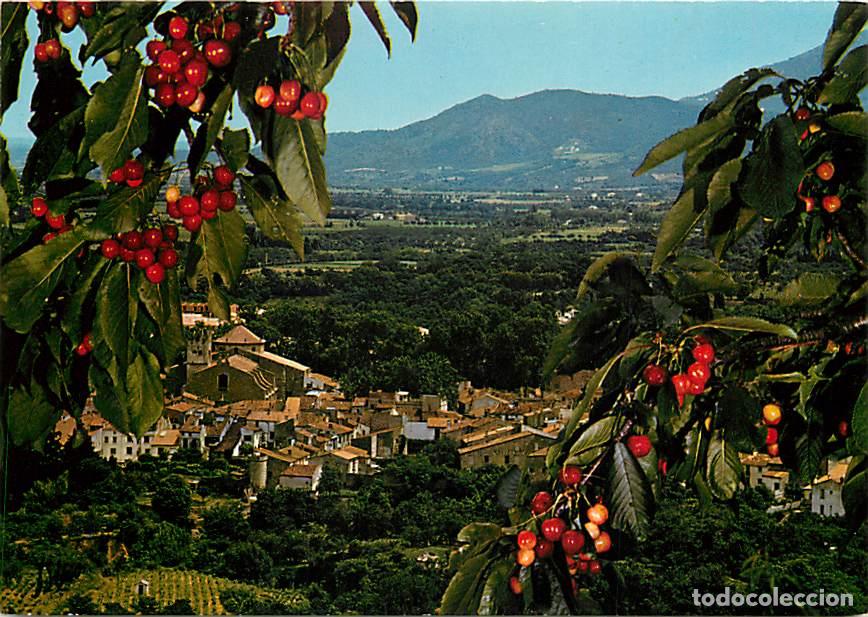 Cartoline: Francia - 66 - C&eacute;ret - Vue G&eacute;n&eacute;rale - CPM - Voir Scans Recto-Verso