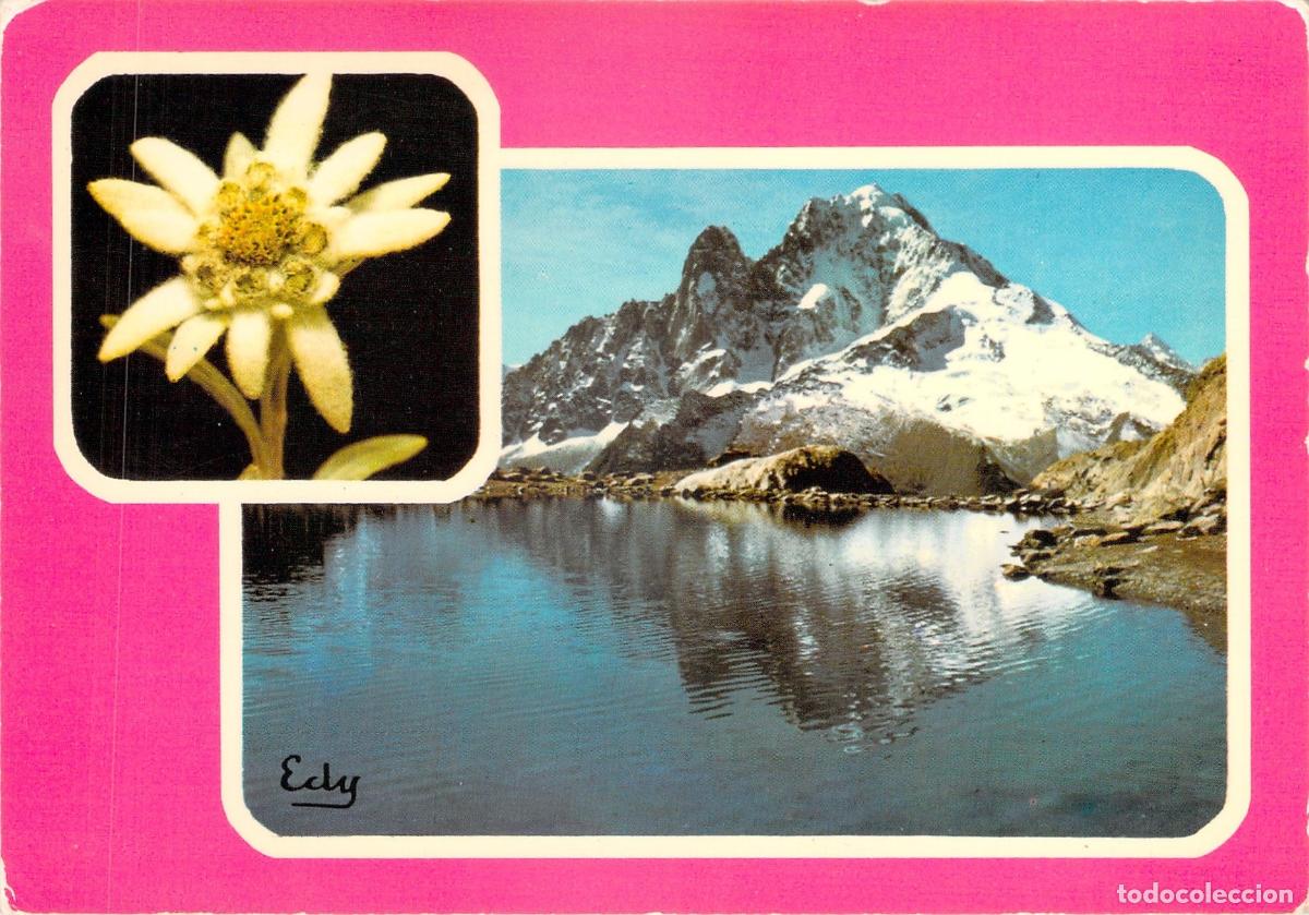 Postais: Postal Alpes Franceses: Lago de Alta Monta&ntilde;a y Edelweiss, Estrella de Plata