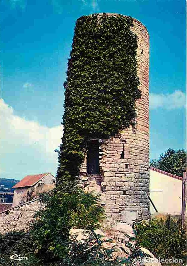 Postales: Francia - 71 - Saint Gengoux le National - La tour de lierre - Carte Neuve - CPM - Voir Scans Recto-