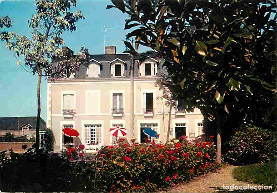 Postkarten: Francia - 72 - Le Lude - Hotel du Maine - Fleurs - Carte Neuve - CPM - Voir Scans Recto-Verso