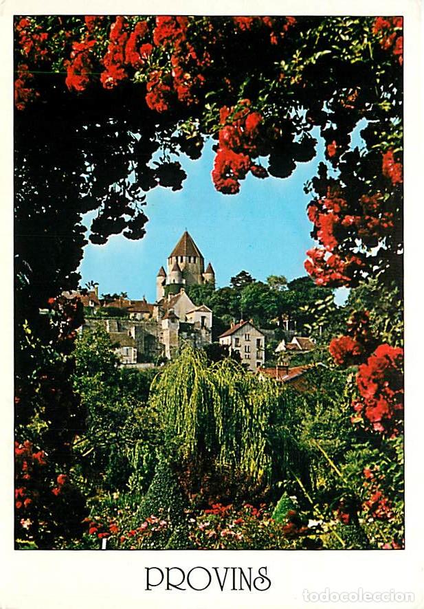 Postales: Francia - 77 - Provins - La roseraie et la tour de C&eacute;sar - Fleurs - Carte Neuve - CPM - Voir Scans R