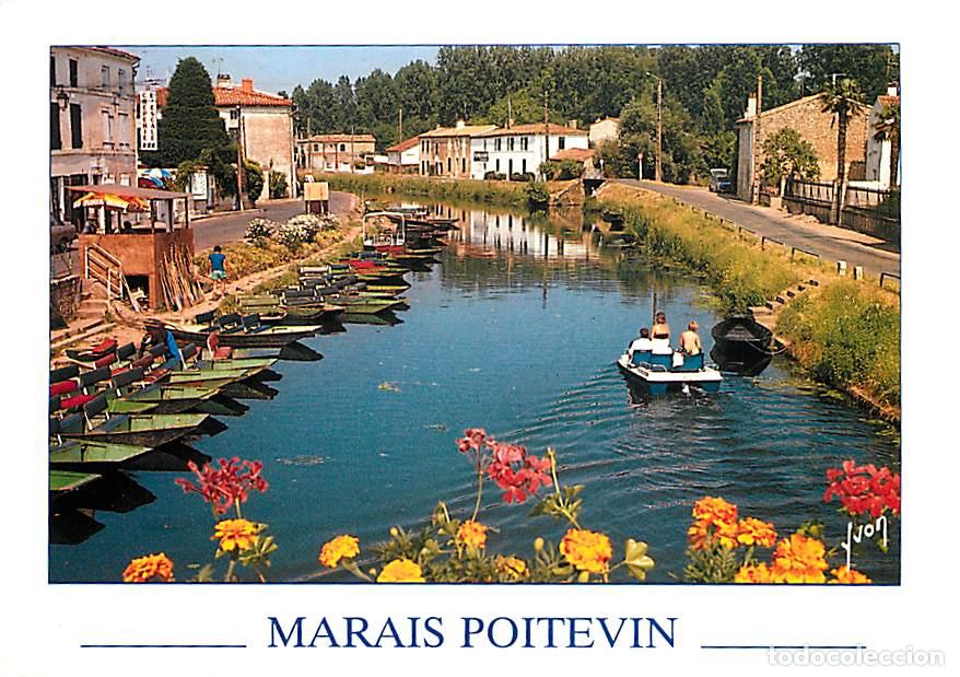 Postkarten: Francia - 79 - Coulon - Promenade sur le Marais - Marais Poitevin - Venise Verte - Fleurs - CPM - Vo