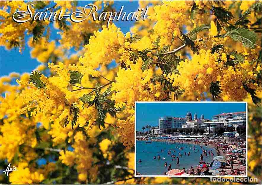Postales: Francia - 83 - Saint Raphael - La Plage - CPM - Voir Scans Recto-Verso
