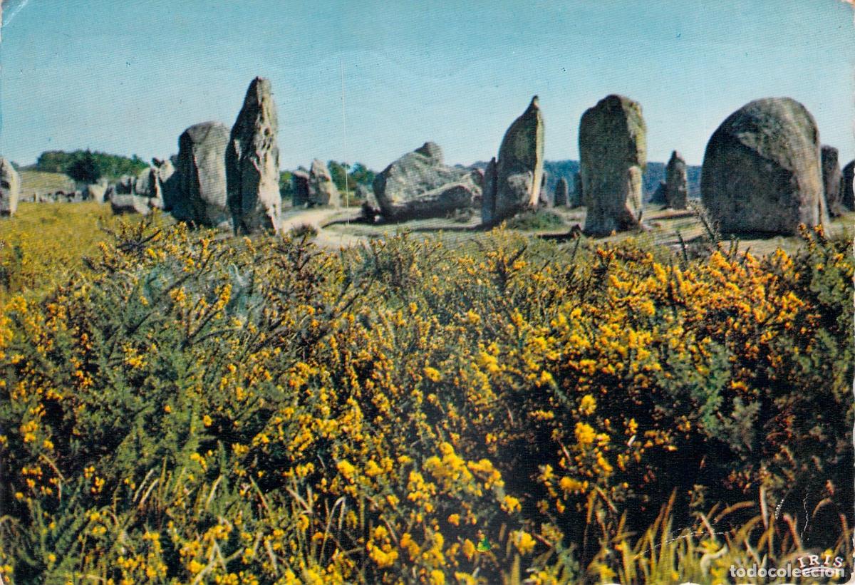 Cartes Postales: Postal Francesa Menhires Lande Fleurie Breta&ntilde;a, Monumentos Megal&iacute;ticos