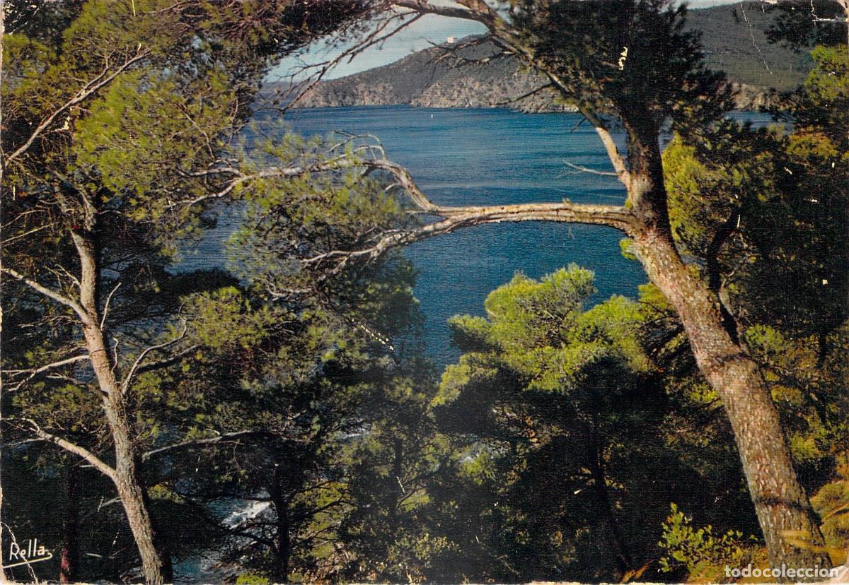 Postais: Postal Cavalaire-sur-Mer, Calanques Vistas desde Pinada, Costa Azul, Var