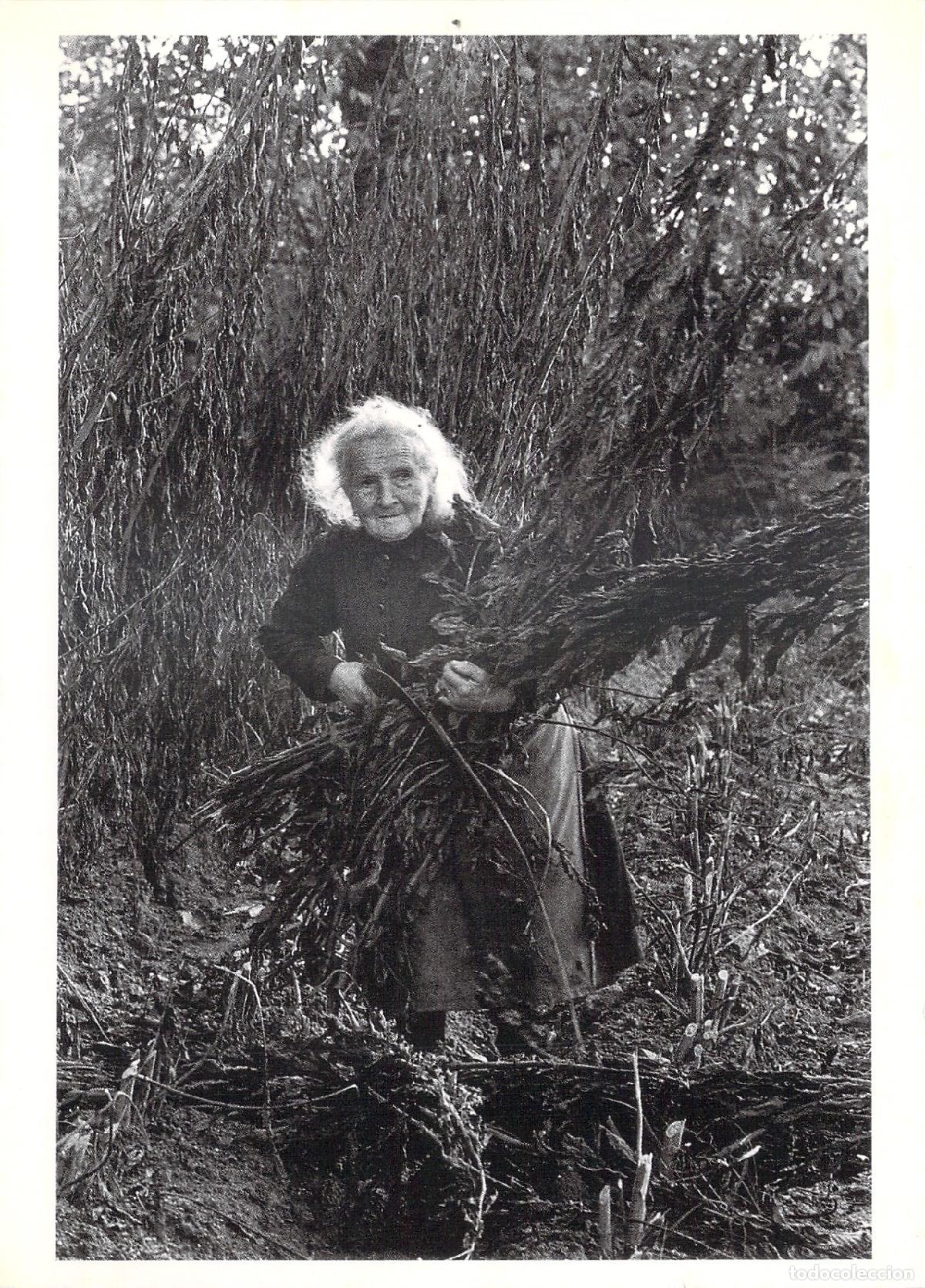 Postales: Postal Limousin Francia, Retrato de Mujer Campesina, Nancy Safford, B&W