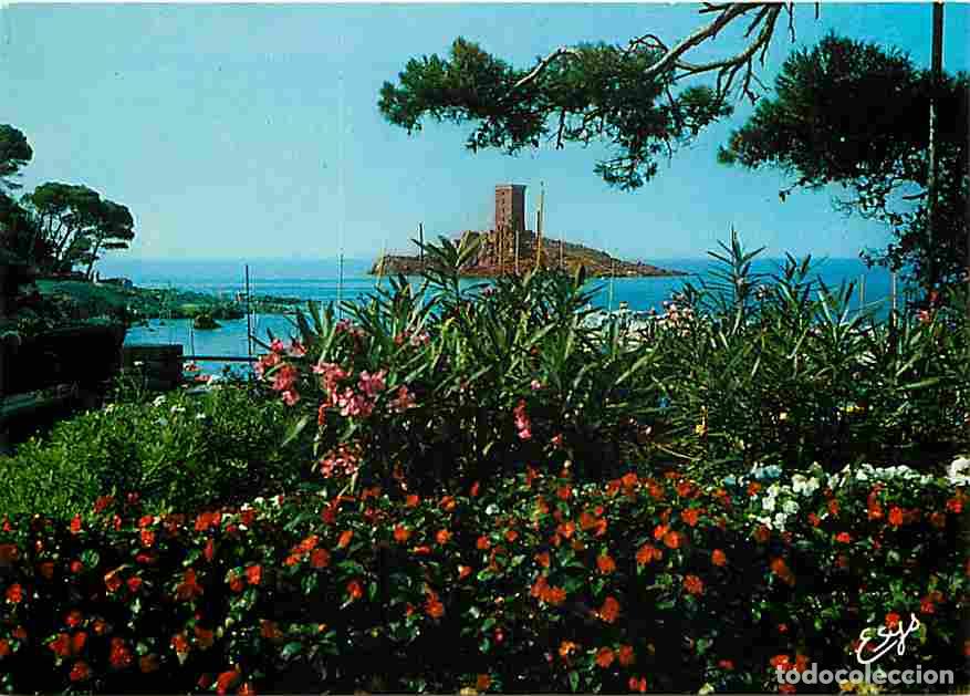 Postales: Francia - 83 - Le Dramont - L'Ile d'Or et sa Tour - CPM - Voir Scans Recto-Verso