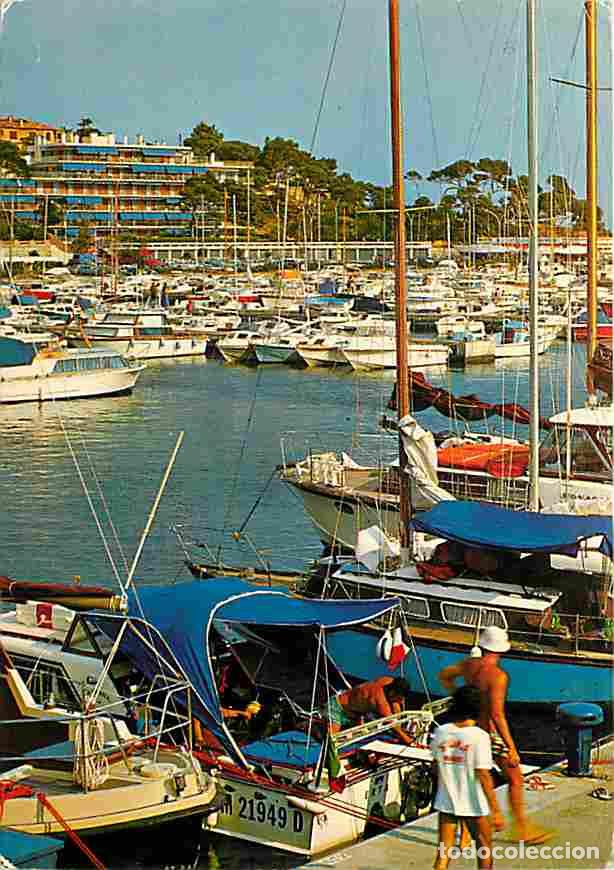 Postales: Francia - 83 - Saint Raphael - Carte Neuve - CPM - Voir Scans Recto-Verso
