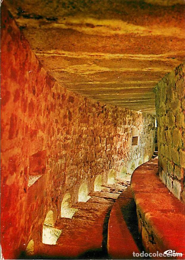 Postales: Francia - 85 - Tiffauges - Ch&acirc;teau de Gilles de Rais dit Barbe-Bleue - Tour du Vidame - Chemin de ro