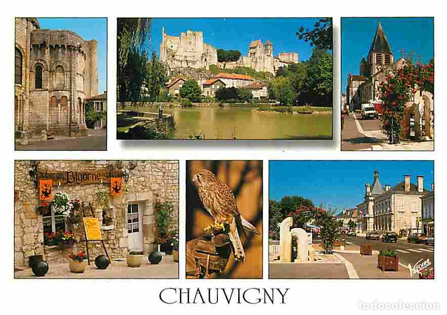Postales: Francia - 86 - Chauvigny - Multivues - Oiseaux - Eglise - Carte Neuve - CPM - Voir Scans Recto-Verso