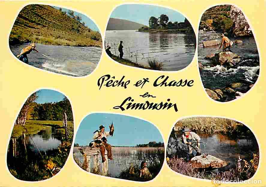 Cartoline: Francia - 87 - Haute Vienne - Limousin - Peche et chasse en Limousin - Multivues - CPM - Voir Scans