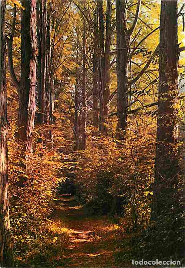 Postales: Francia - 91 - Boissy la Rivi&egrave;re - Centre d'Education Ouvri&egrave;re de la CFDT - Domaine de Bierville - L