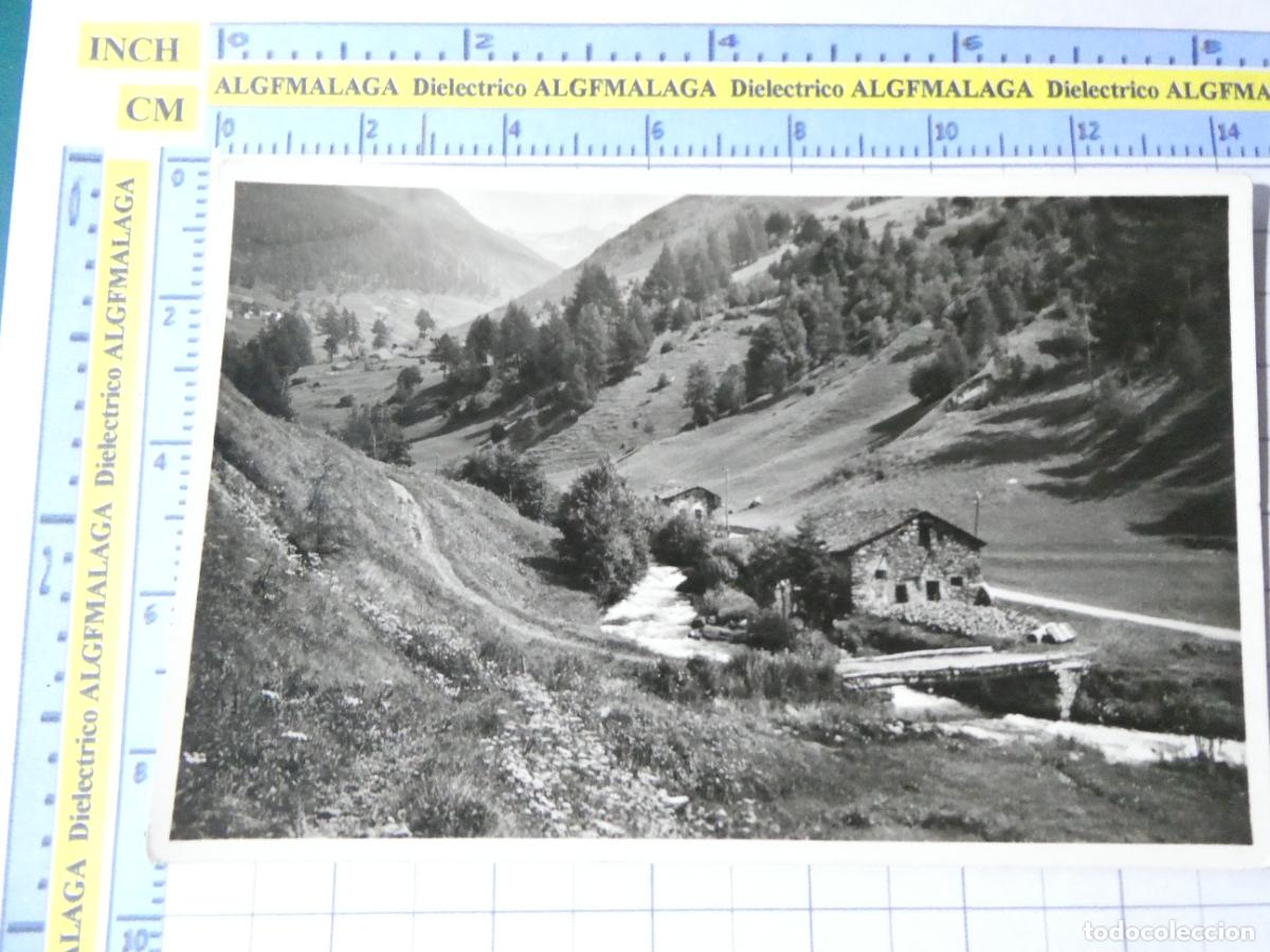 Postcards: ANTIGUA POSTAL DE ITALIA. DINTORNI DI PONTEDILEGNO SULLA STRADA DI S. APOLLONIA. 2892