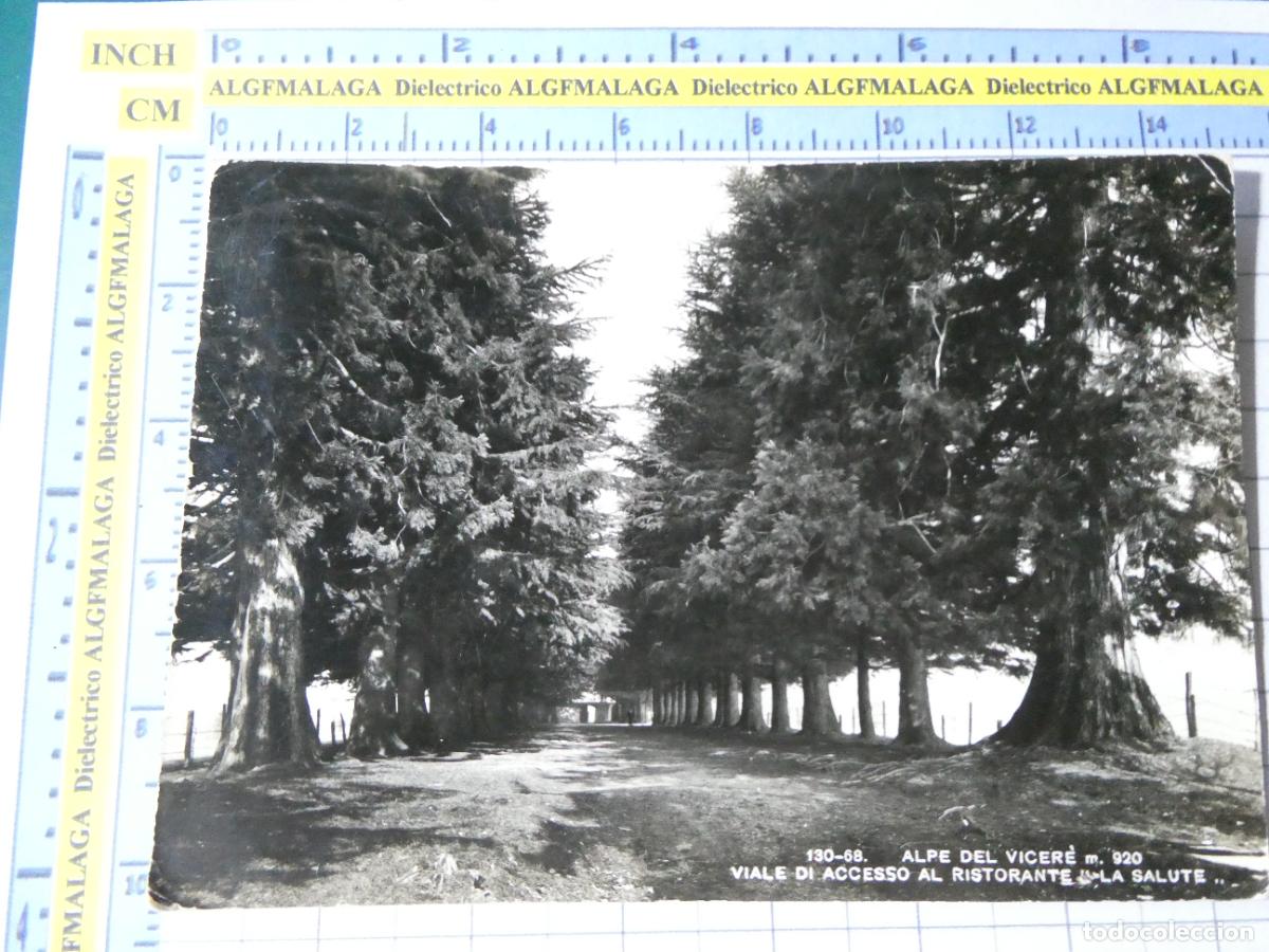Postales: ANTIGUA POSTAL DE ITALIA. ALPE DEL VICERE VIALE DI ACCESSO AL RISTORANTE LA DALUTE. 2894