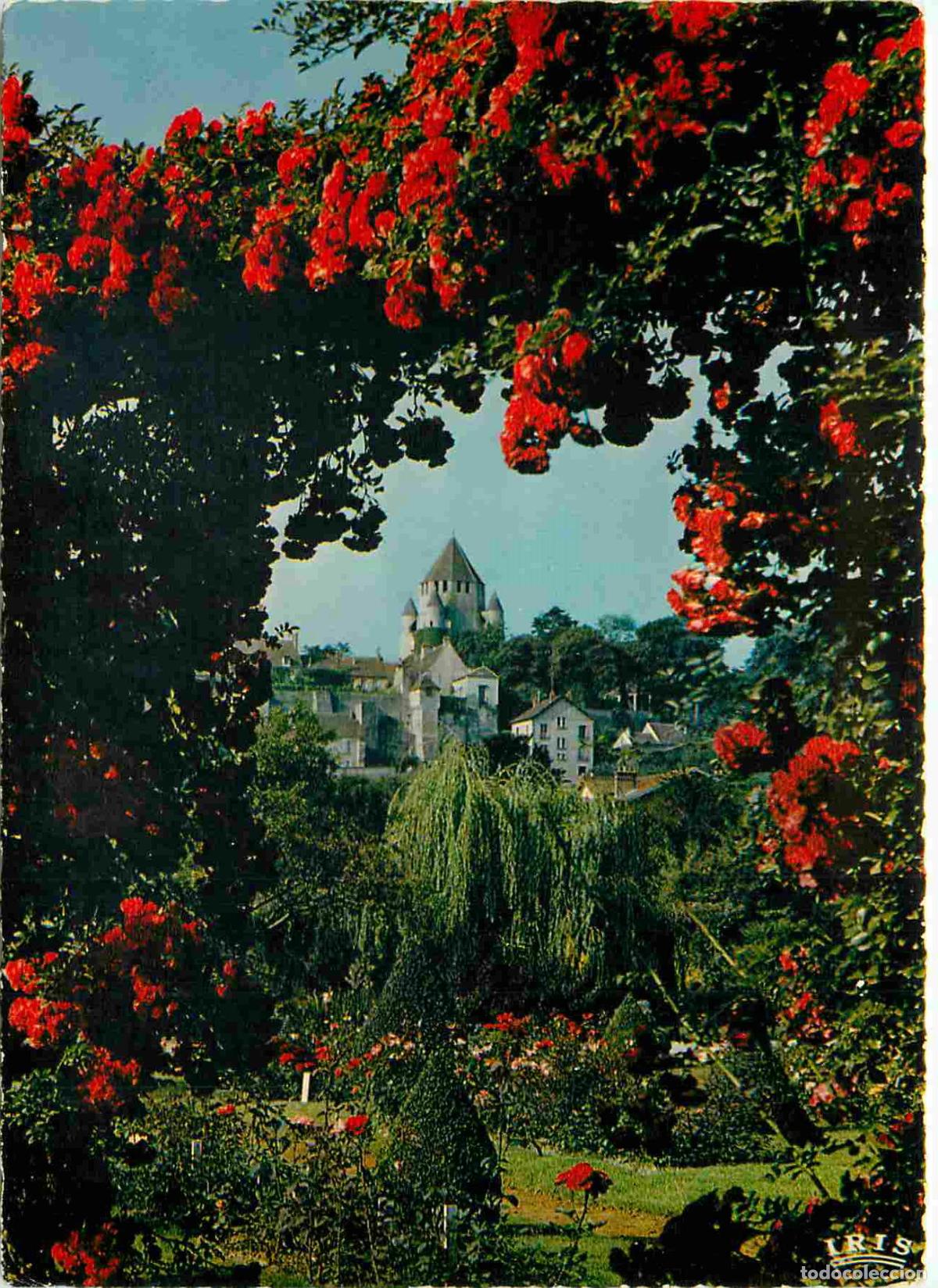 Postales: Francia - 77 - Provins - La Roseraie et la Tour de C&eacute;sar - Fleurs - CPM - Voir Scans Recto-Verso