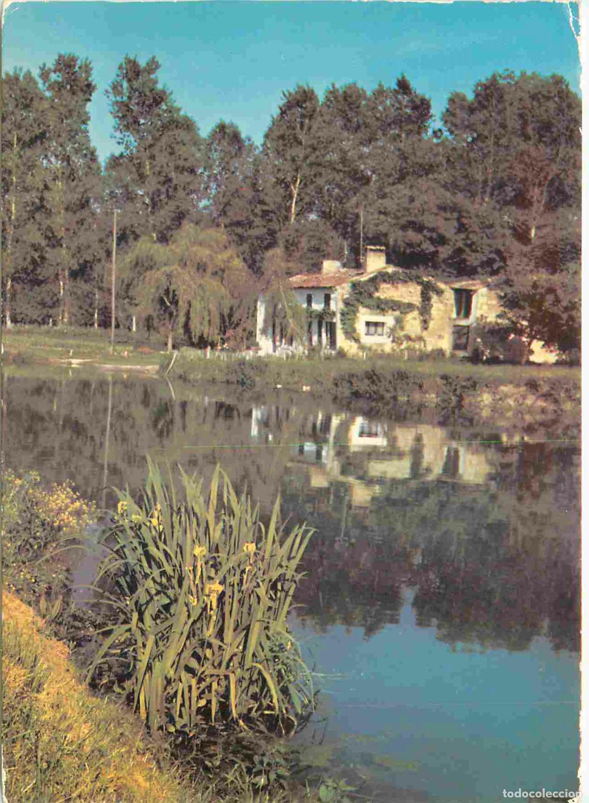 Postales: Francia - 79 - Marais Poitevin - La Venise Verte - Les Bords de la S&egrave;vre - CPM - Voir Scans Recto-Ve