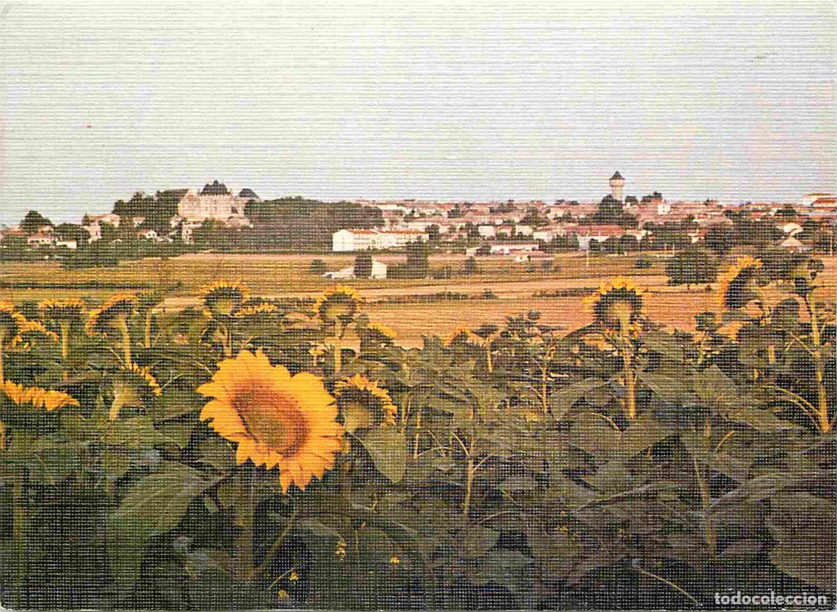 Postkarten: Francia - 16 - Barbezieux - Vue g&eacute;n&eacute;rale - Champs de tournesols - CPM - Voir Scans Recto-Verso