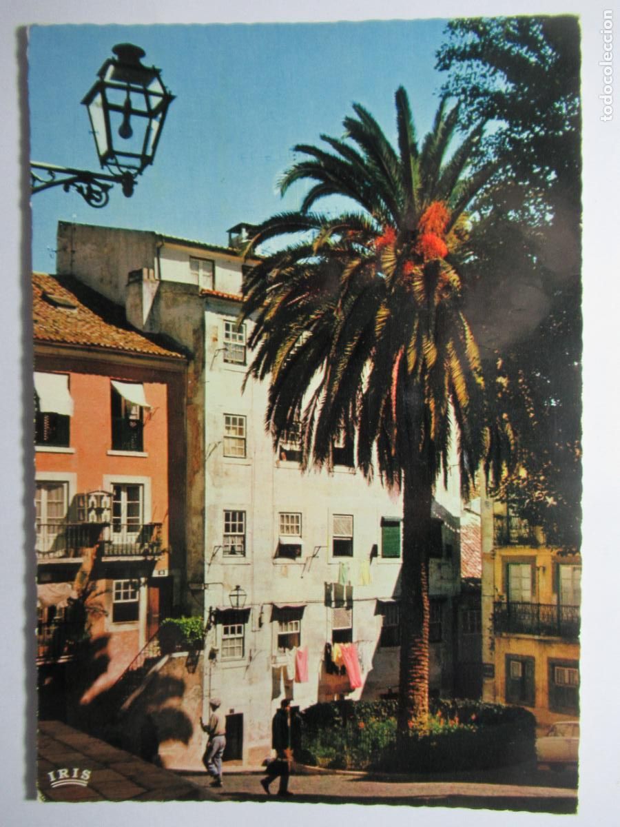 Postales: Lisboa - Alfama - Circulada - Foto 1