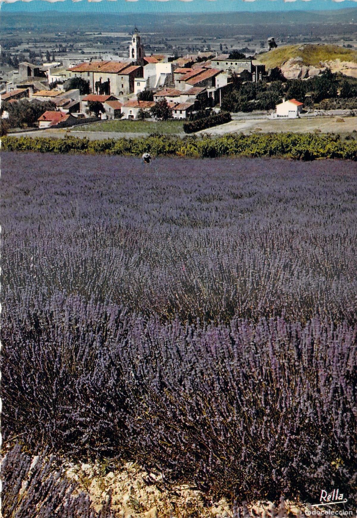 Postales: Postal Campo de Lavanda y Pueblo Provenzal, Francia, Ediciones Rella