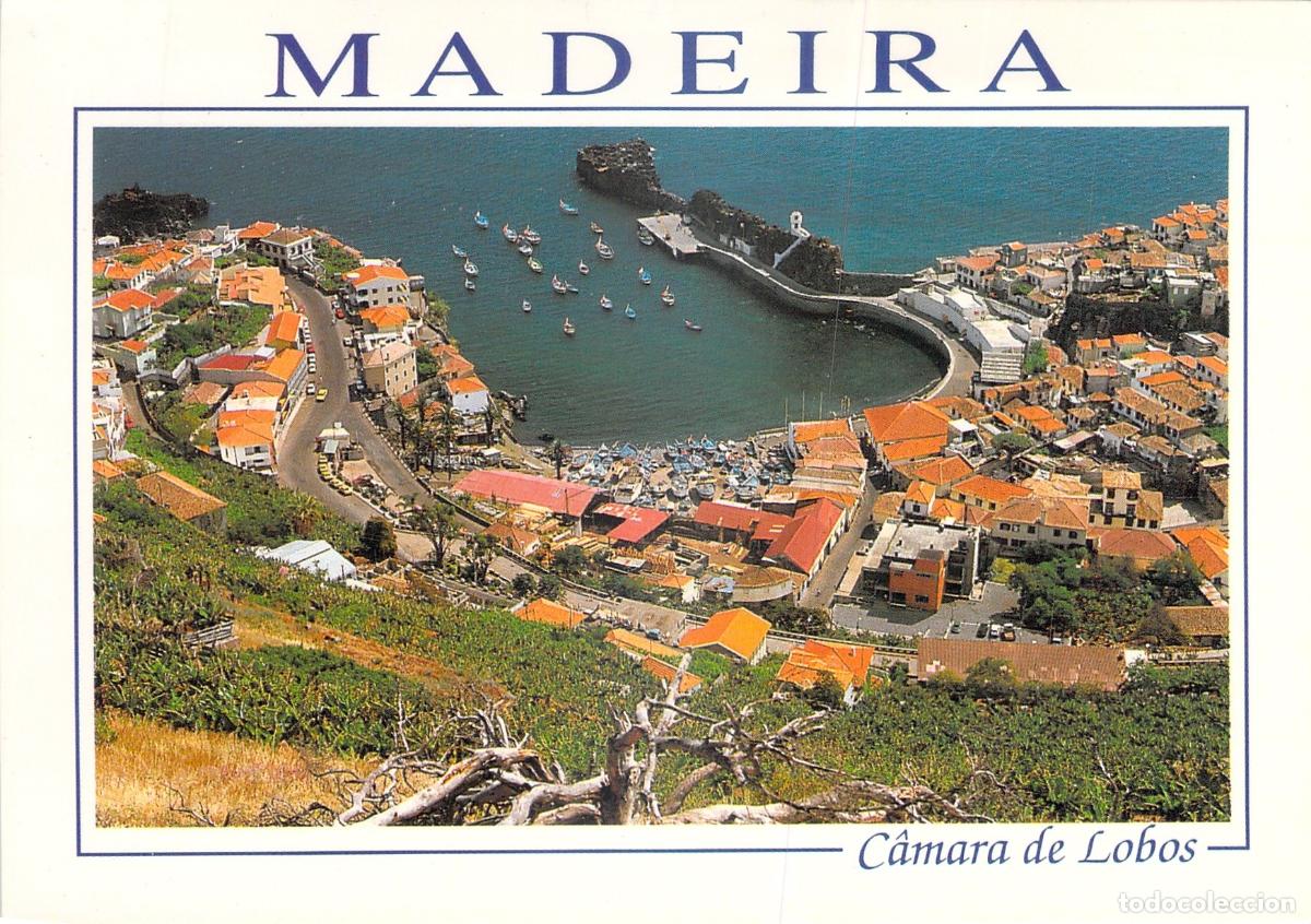 Cartes Postales: Postal C&acirc;mara de Lobos Madeira, Portugal - Vista General del Puerto