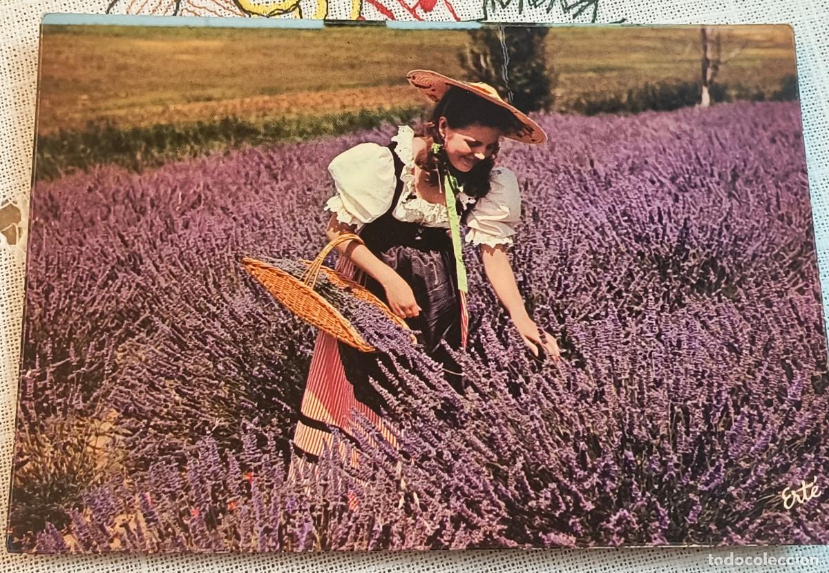 Postales: POSTAL FRANCIA | JOVEN CAMPO LAVANDA / REFLECTS DE FRANCE