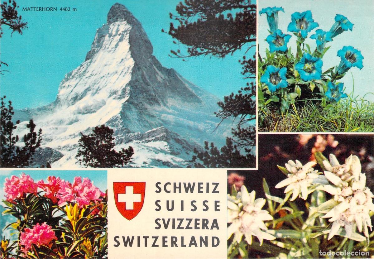 Cartes Postales: Postal Matterhorn y Flores Alpinas, Edelweiss, Suiza