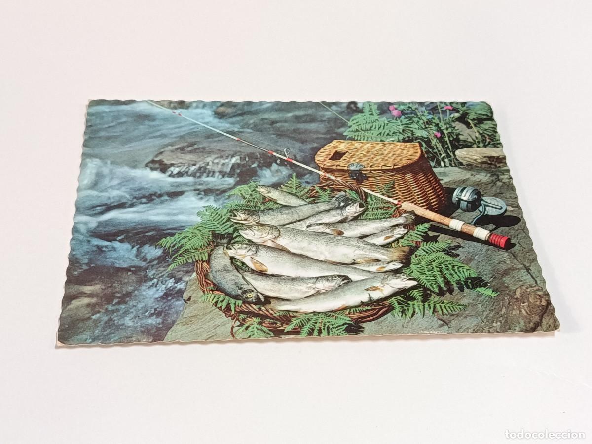 Postales: ANDORRA - POSTAL LES TRUITES - Foto 1