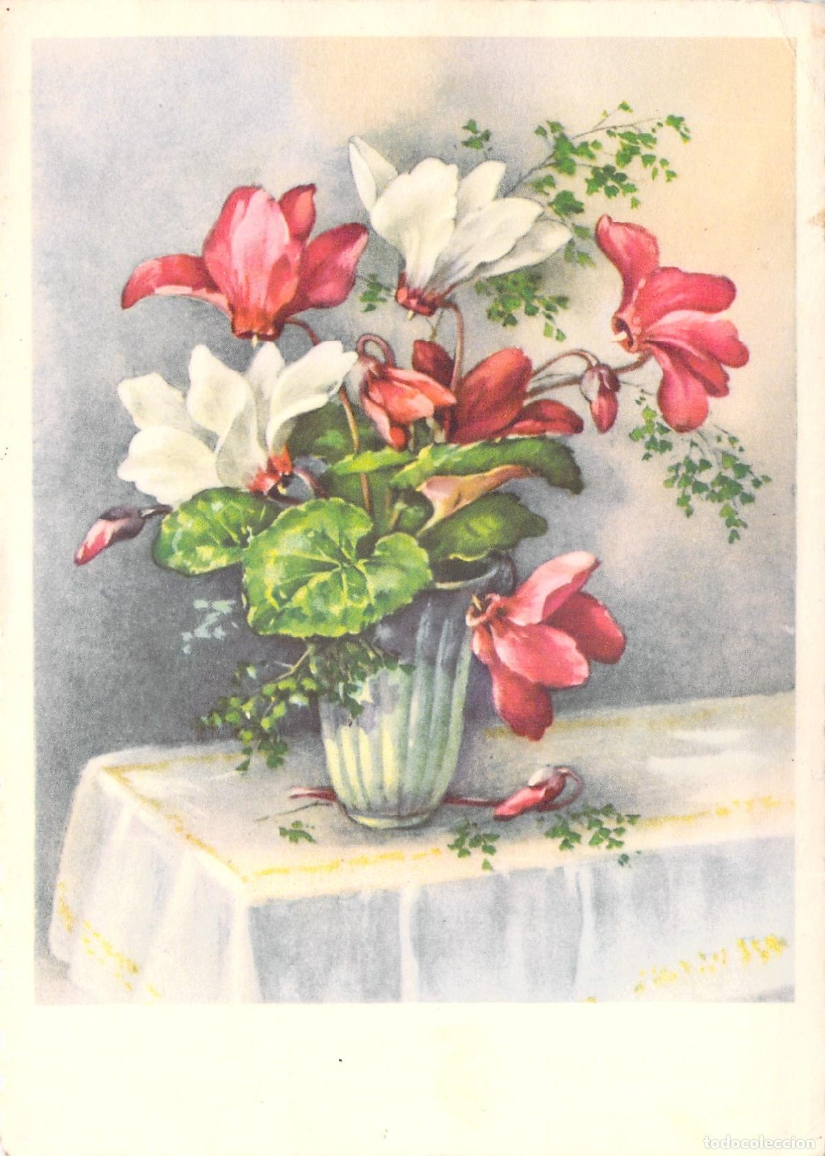 Postales: Postal Ilustraci&oacute;n Flores Ciclamen Rojas y Blancas Naturaleza Muerta Alemania