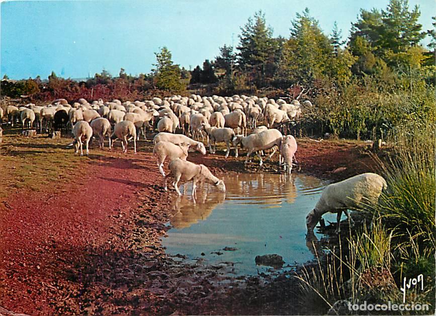 Cartes Postales: France - Carte Postale - 48 - Les Gorges du Tarn - CPM - Voir Scans Recto-Verso - Poscard - Carta Po