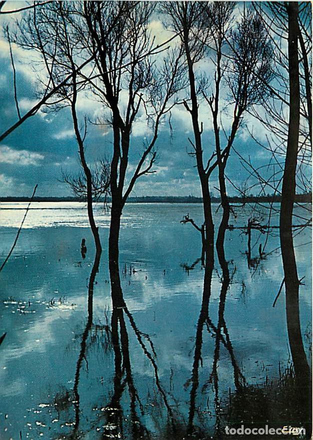 Cartes Postales: France - Carte Postale - R&eacute;gions - Normandie - CPM - Voir Scans Recto-Verso - Poscard - Carta Postal