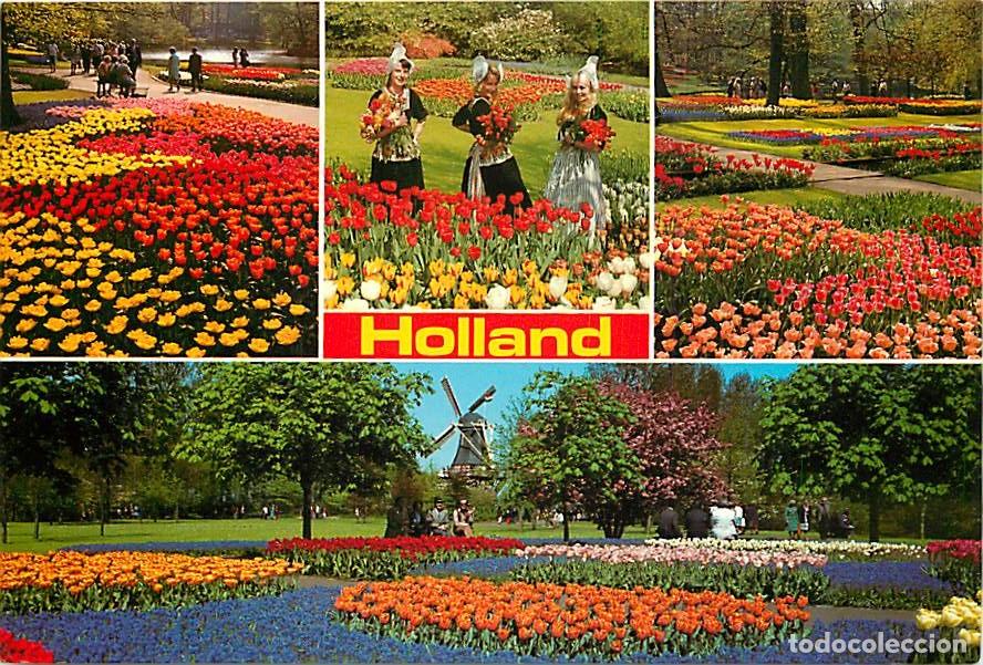Postales: Carte Postale - Pays-Bas - Nederland - Holland in bloementooi - La Hollande en parure de fleurs - Mu