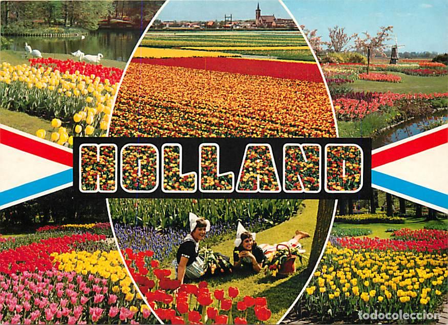 Postales: Carte Postale - Pays-Bas - Nederland - Holland in bloementooi - La Hollande en parure de fleurs - Mu