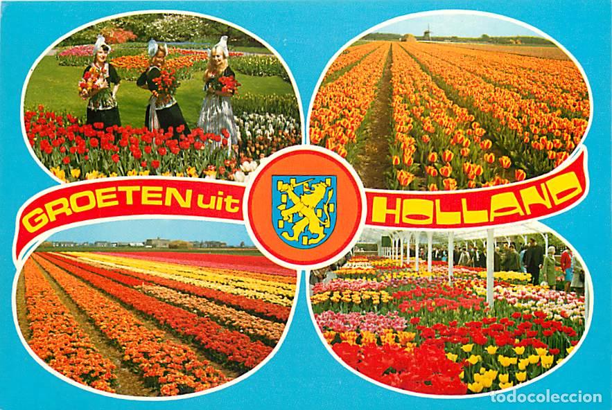 Postales: Carte Postale - Pays-Bas - Nederland - Holland in bloementooi - La Hollande en parure de fleurs - Mu