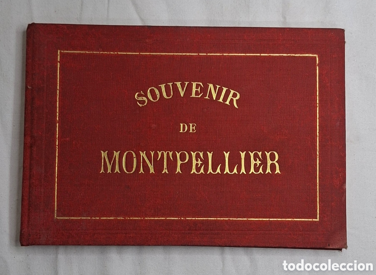 Postales: Souvenir de Montpellier - Foto 15