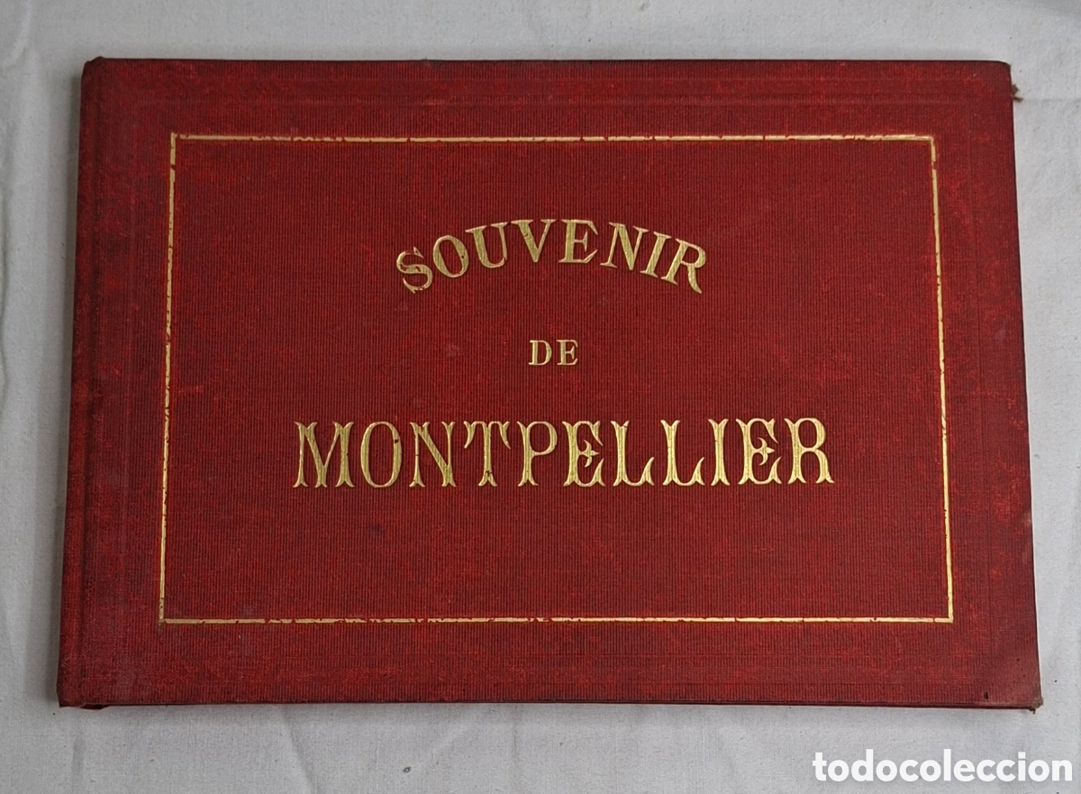 Postales: Souvenir de Montpellier - Foto 1